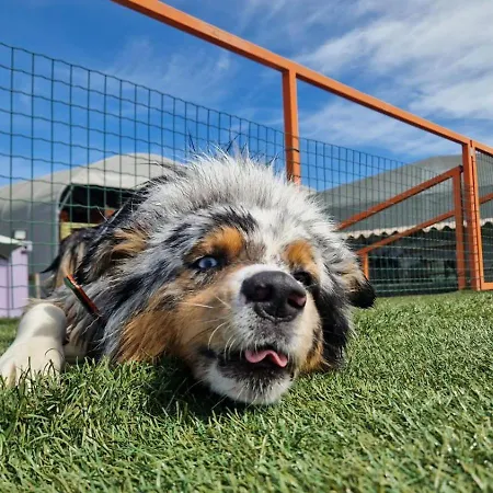 Apartamento La Casa Di Gerry E Palmi Alba (Piedmont)