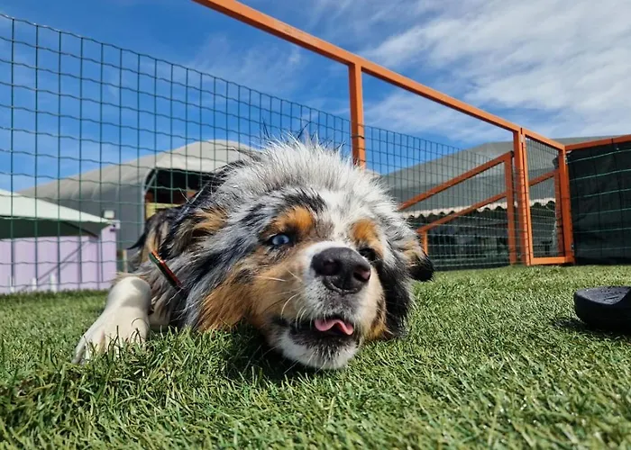 Апартаменты La Casa Di Gerry E Palmi Альба